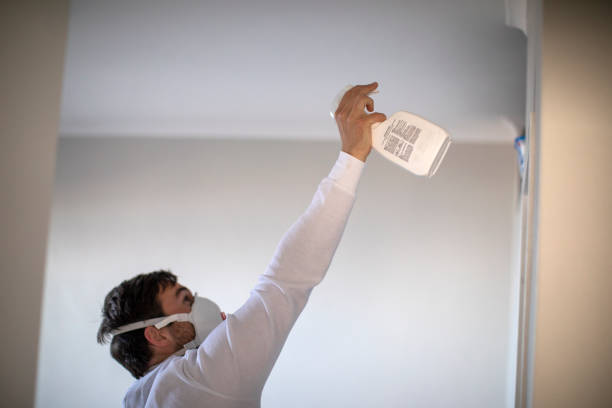 Best Crawl Space Mold Removal  in North Highlands, CA