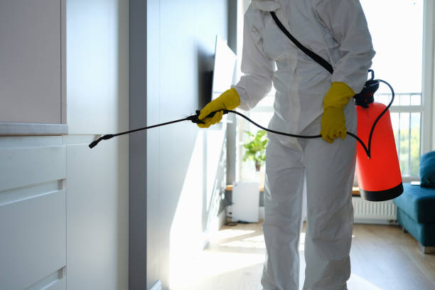 Best Toxic Mold Removal  in North Highlands, CA
