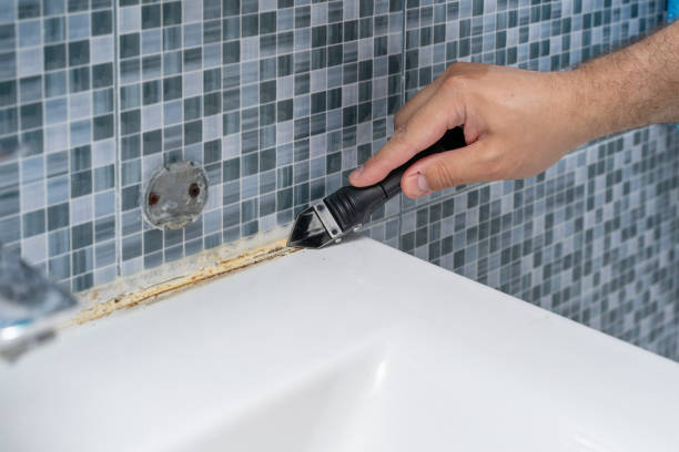 Mold Removal and Inspection in North Highlands, CA