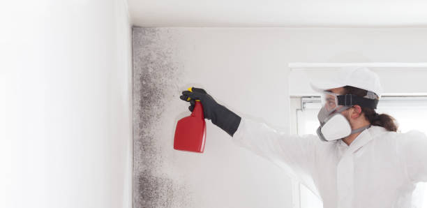 Best Office Mold Removal Services  in North Highlands, CA