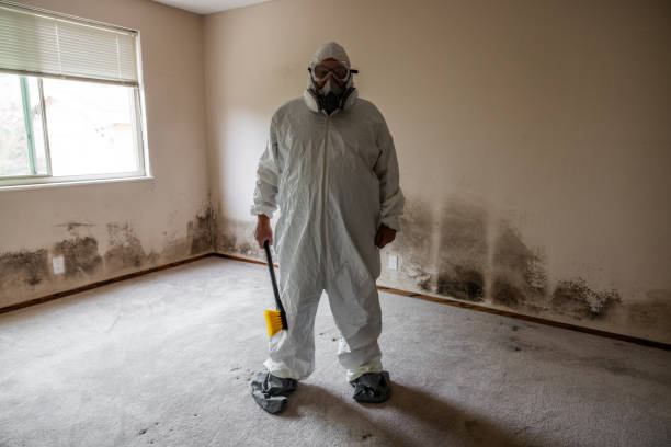 Best Certified Mold Removal  in North Highlands, CA